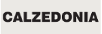 Calzedonia Italy